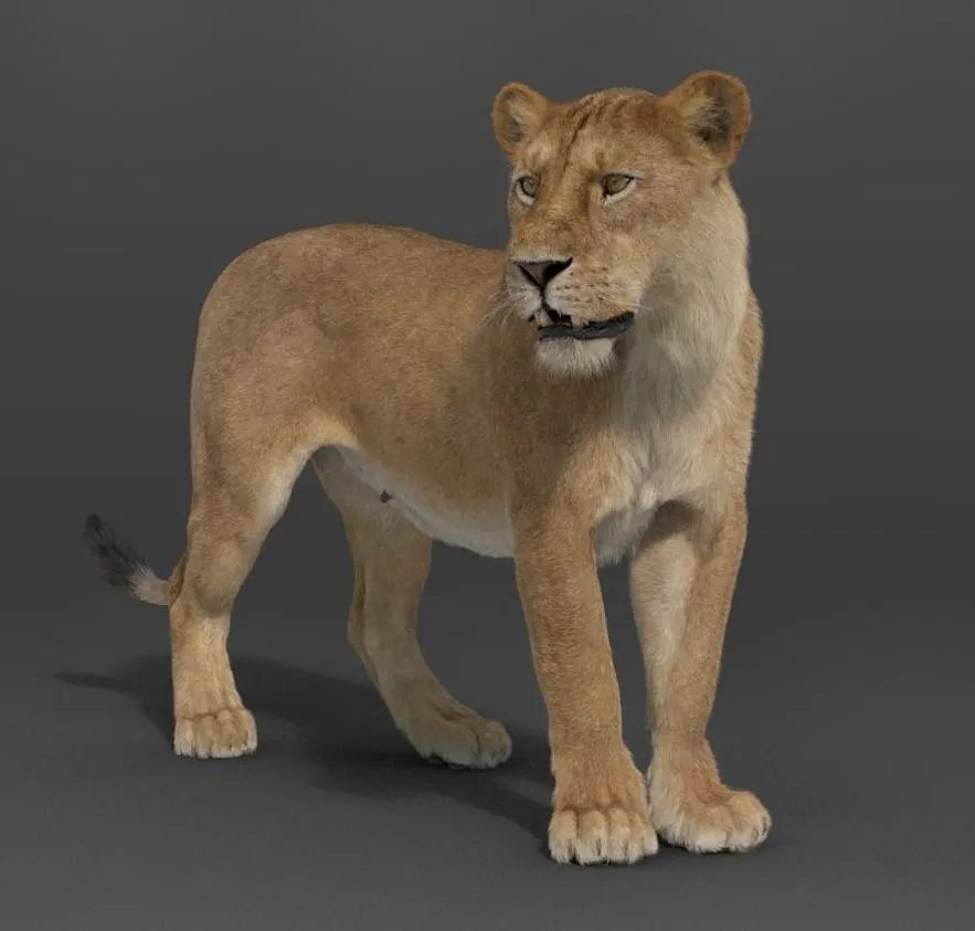 PBR Game 3D Models - Female Lion Rigged VFX Grace