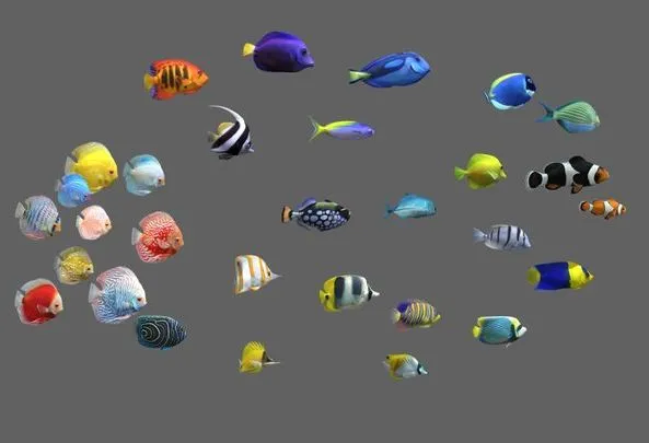 PBR Game 3D Models - Fish Pack 30   Coral Bay