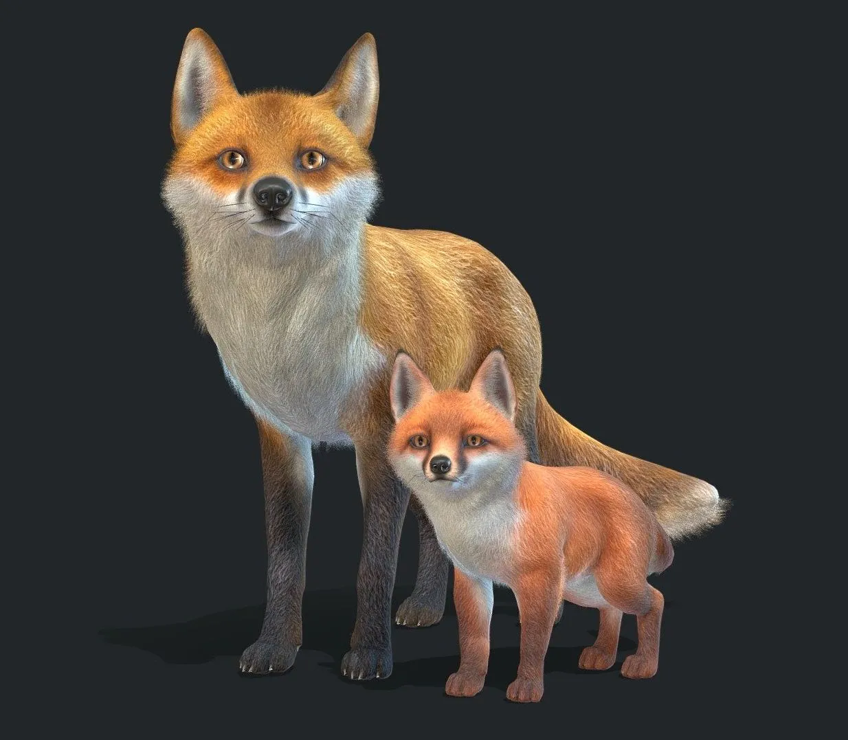 PBR Game 3D Models - Fox Family