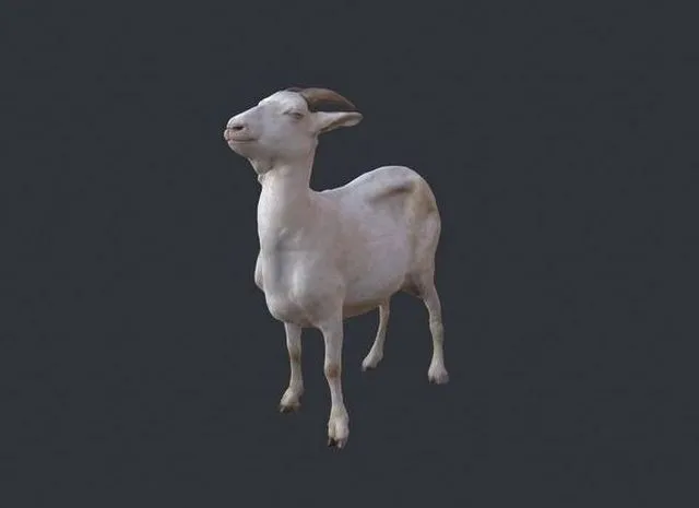 PBR Game 3D Models - Goat