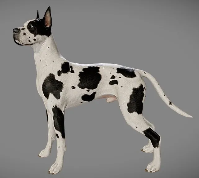 PBR Game 3D Models - Great Dane