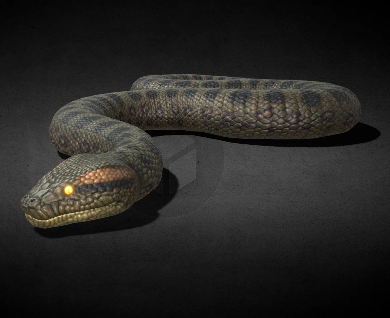 PBR Game 3D Models - Green Anaconda