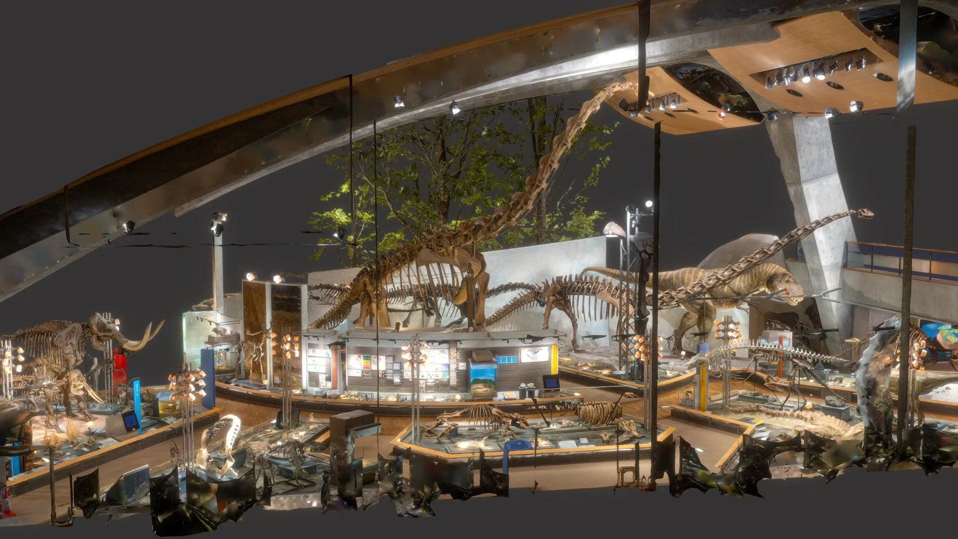 PBR Game 3D Models – Gunma Museum Of Natural History