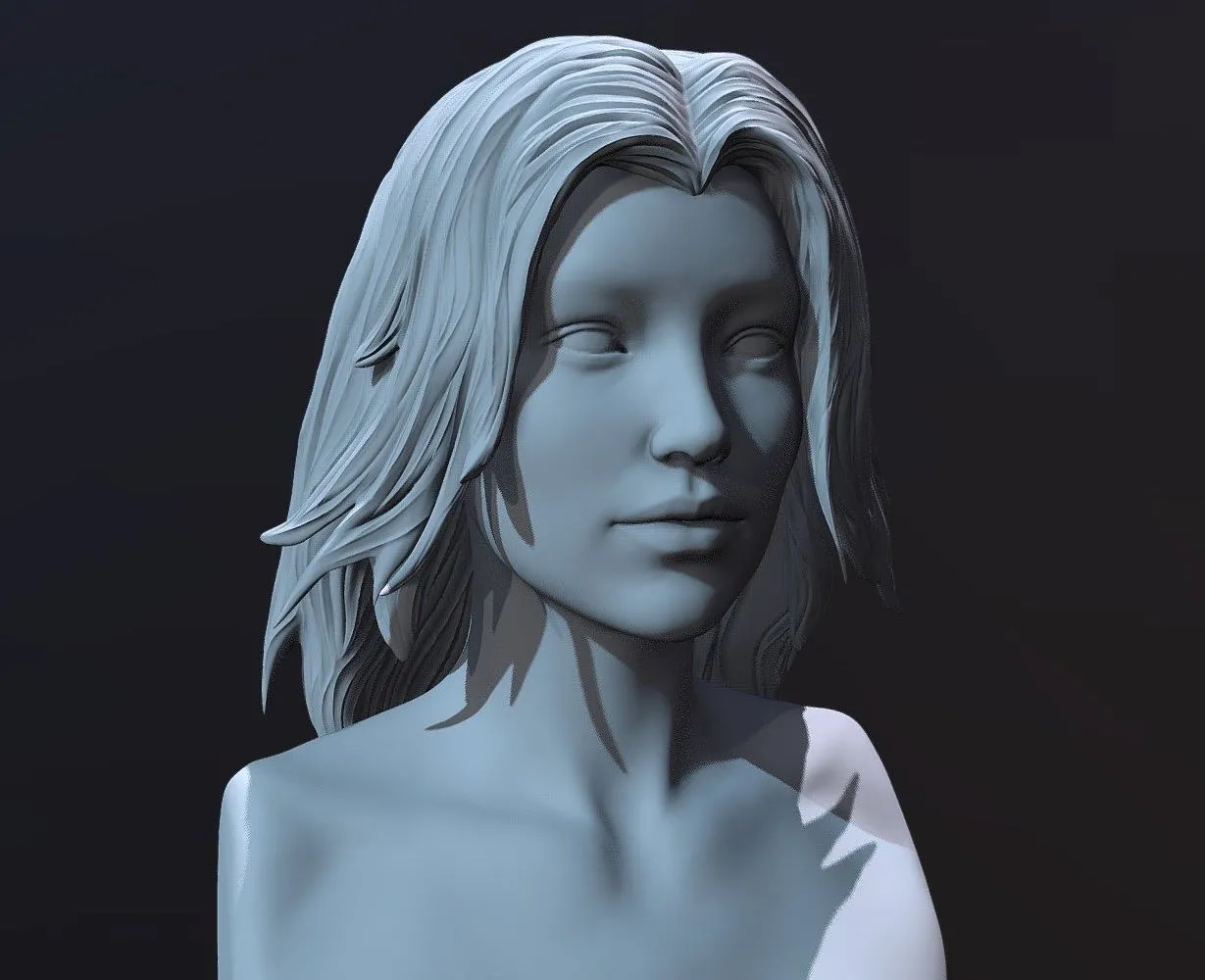 PBR Game 3D Models - Hair Sculpt 2