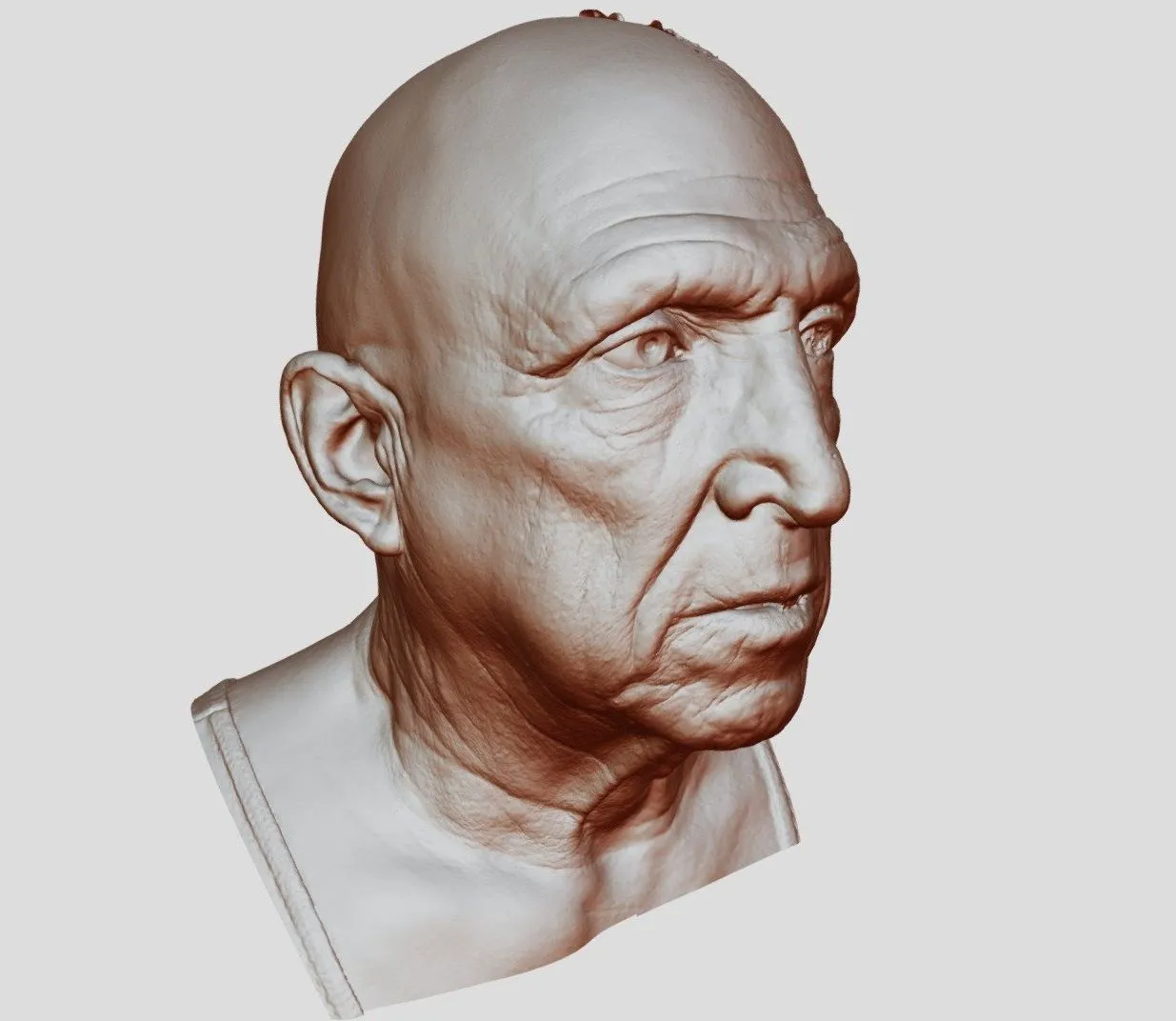 PBR Game 3D Models - Head Scan