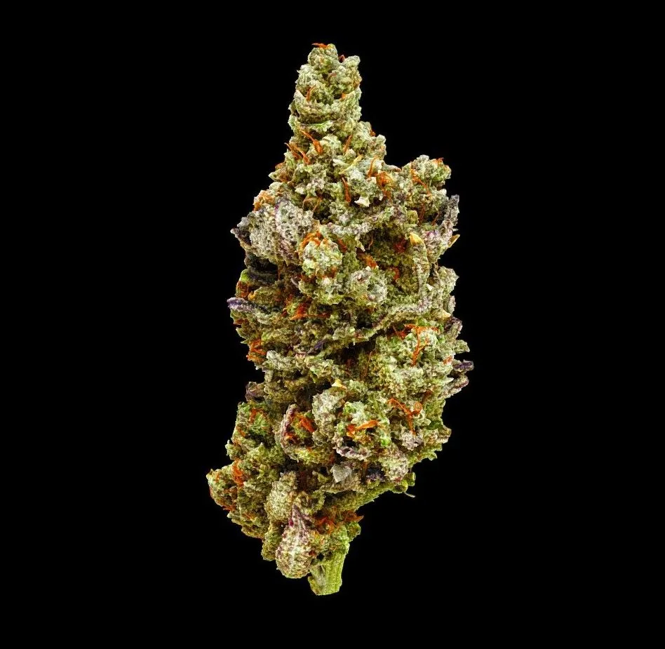 PBR Game 3D Models - Hella Jelly Cannabis Model