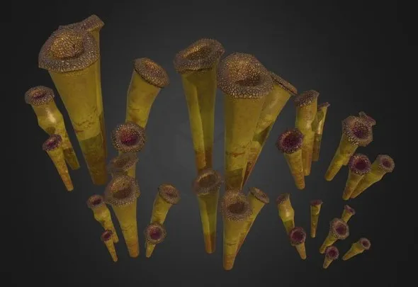 PBR Game 3D Models - Horn Trumpeters