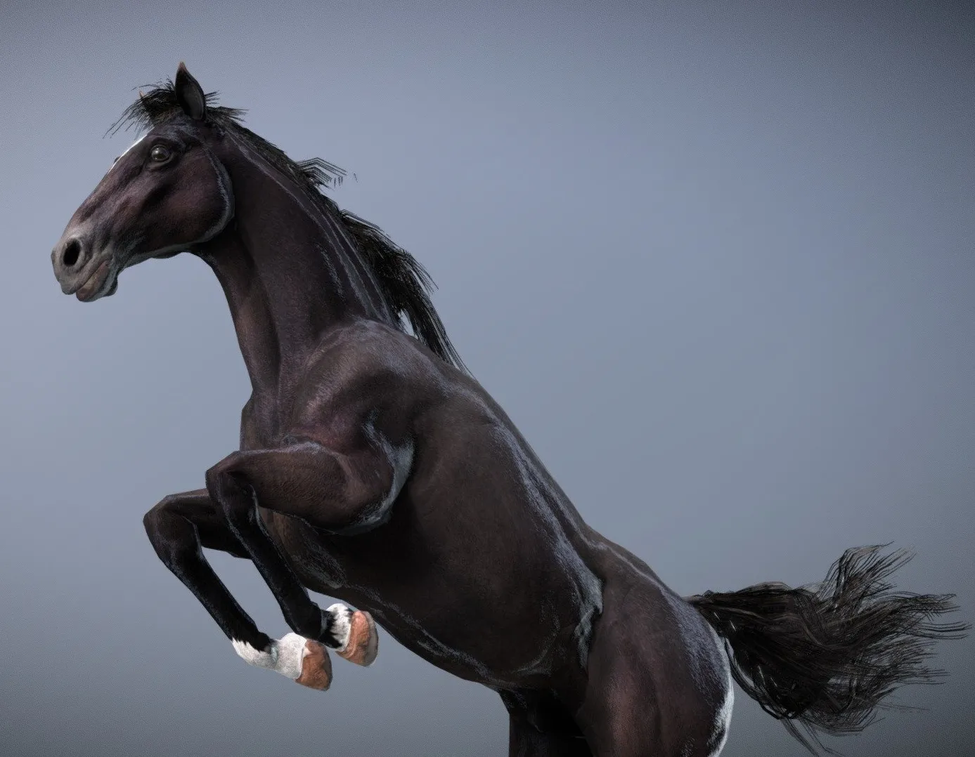 PBR Game 3D Models - Horse Spanish Mustang Black