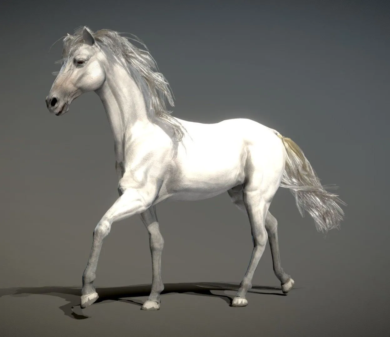 PBR Game 3D Models - Horse Spanish Mustang White