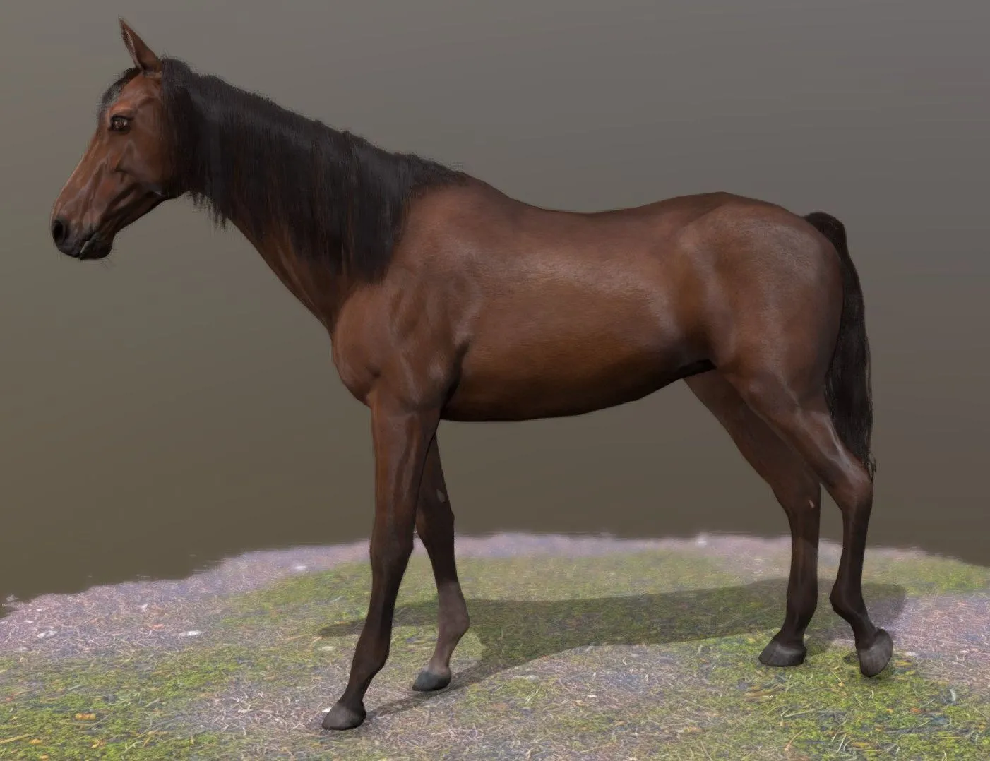 PBR Game 3D Models - Horse Standing Pose 2
