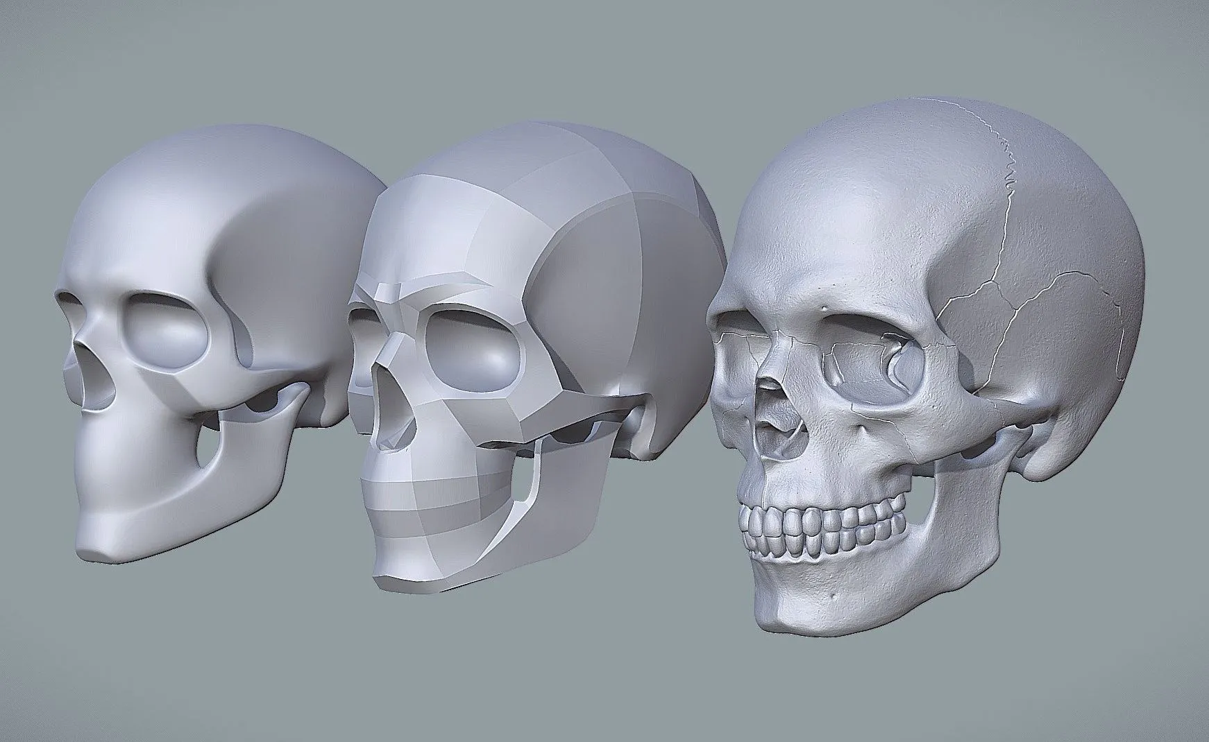 PBR Game 3D Models - Human Skull For Artist Study Pack