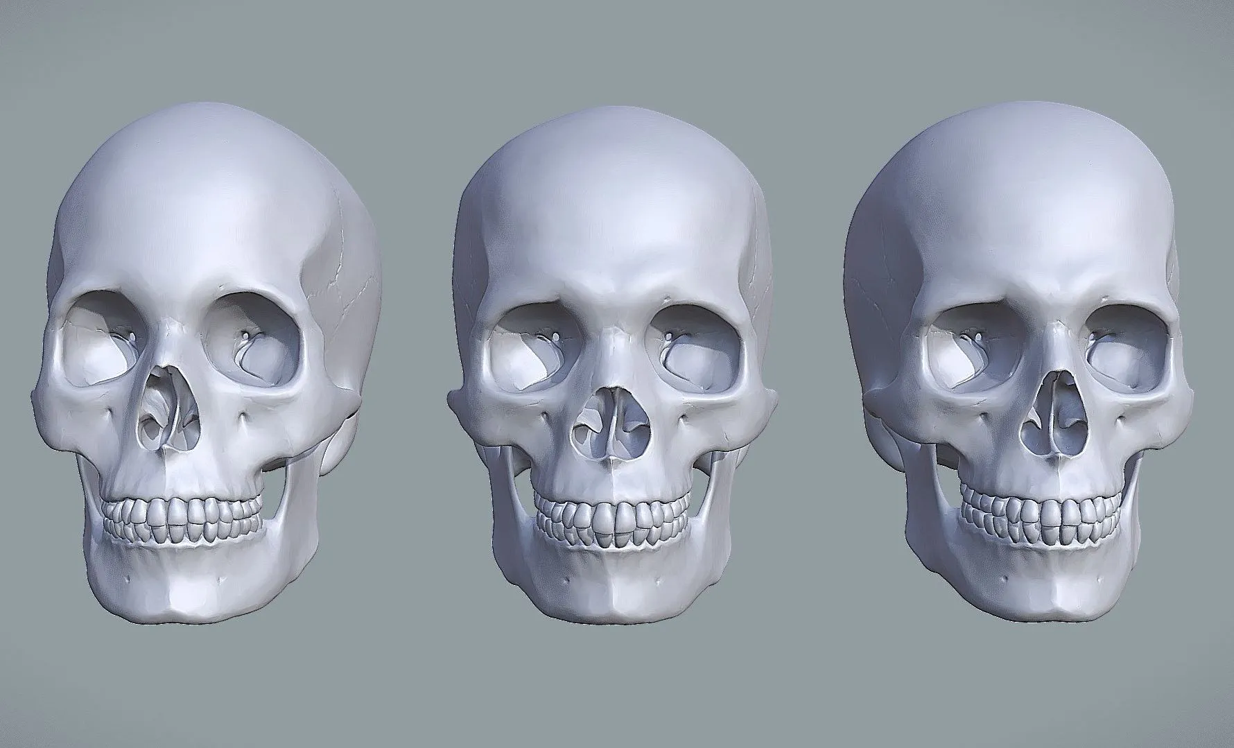 PBR Game 3D Models - Human Skull Variations