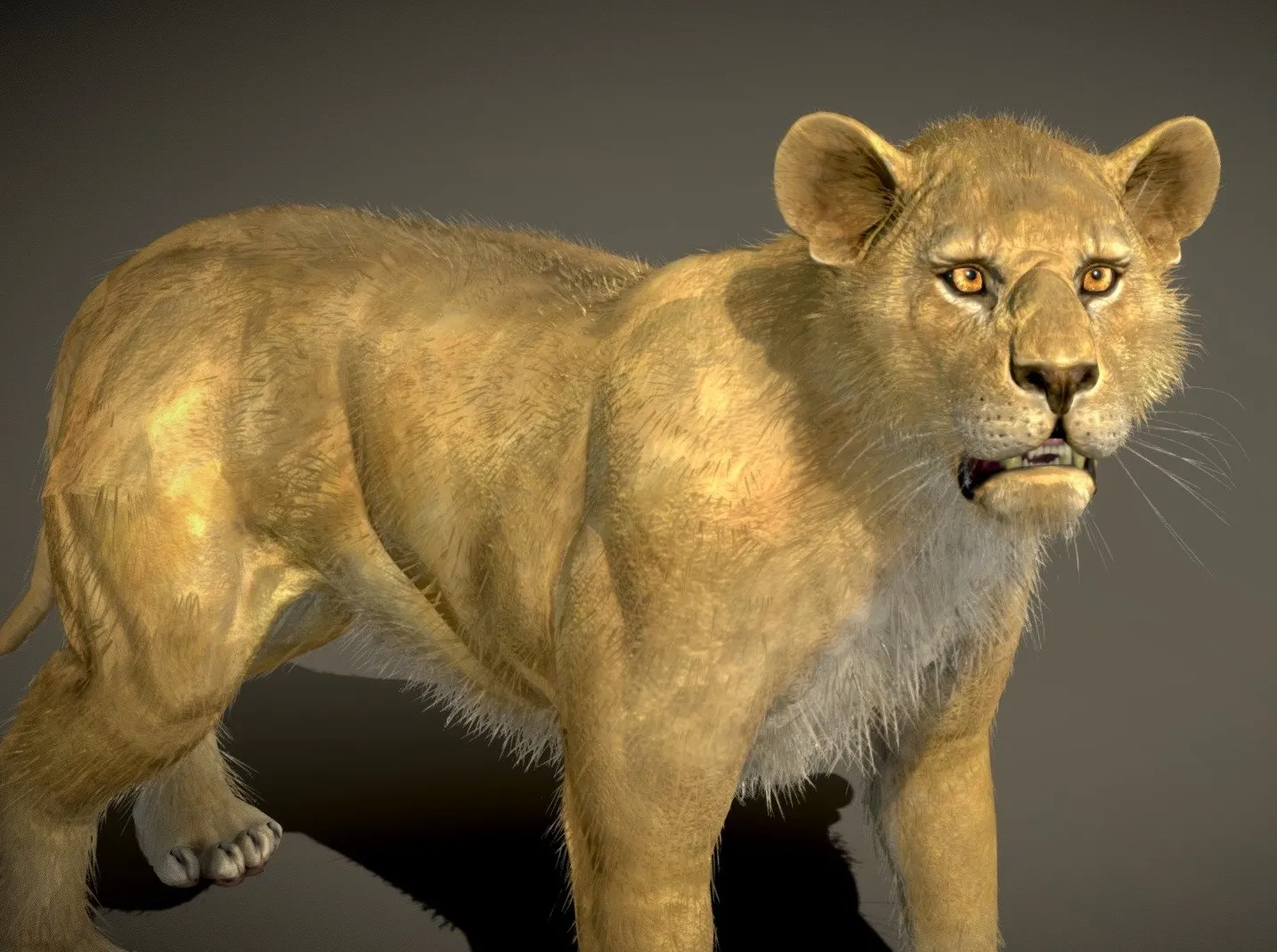 PBR Game 3D Models - Lion