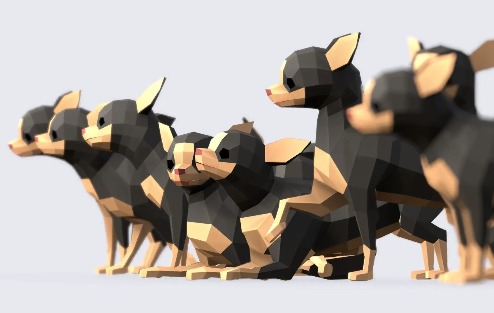 PBR Game 3D Models - Low Poly Chihuahua Dog