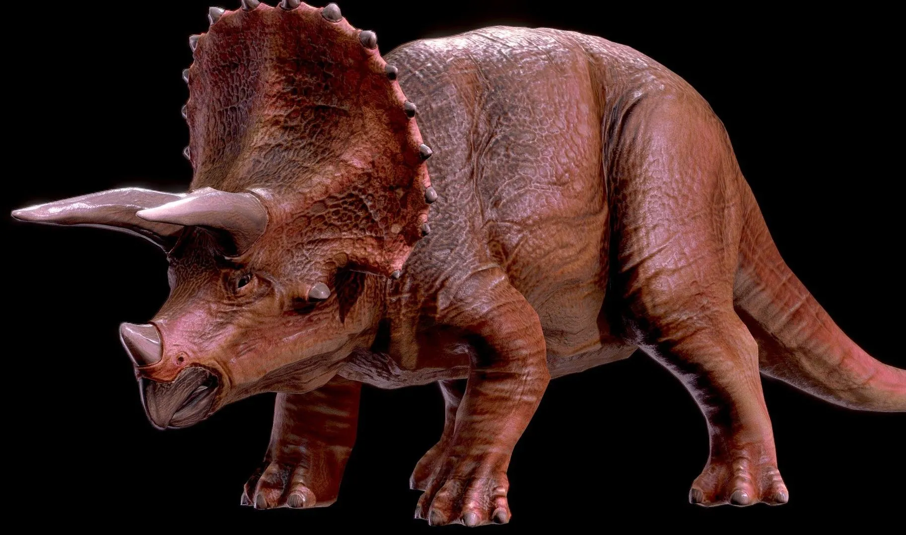 PBR Game 3D Models - Low Poly Realistic Dinosaur Triceratops