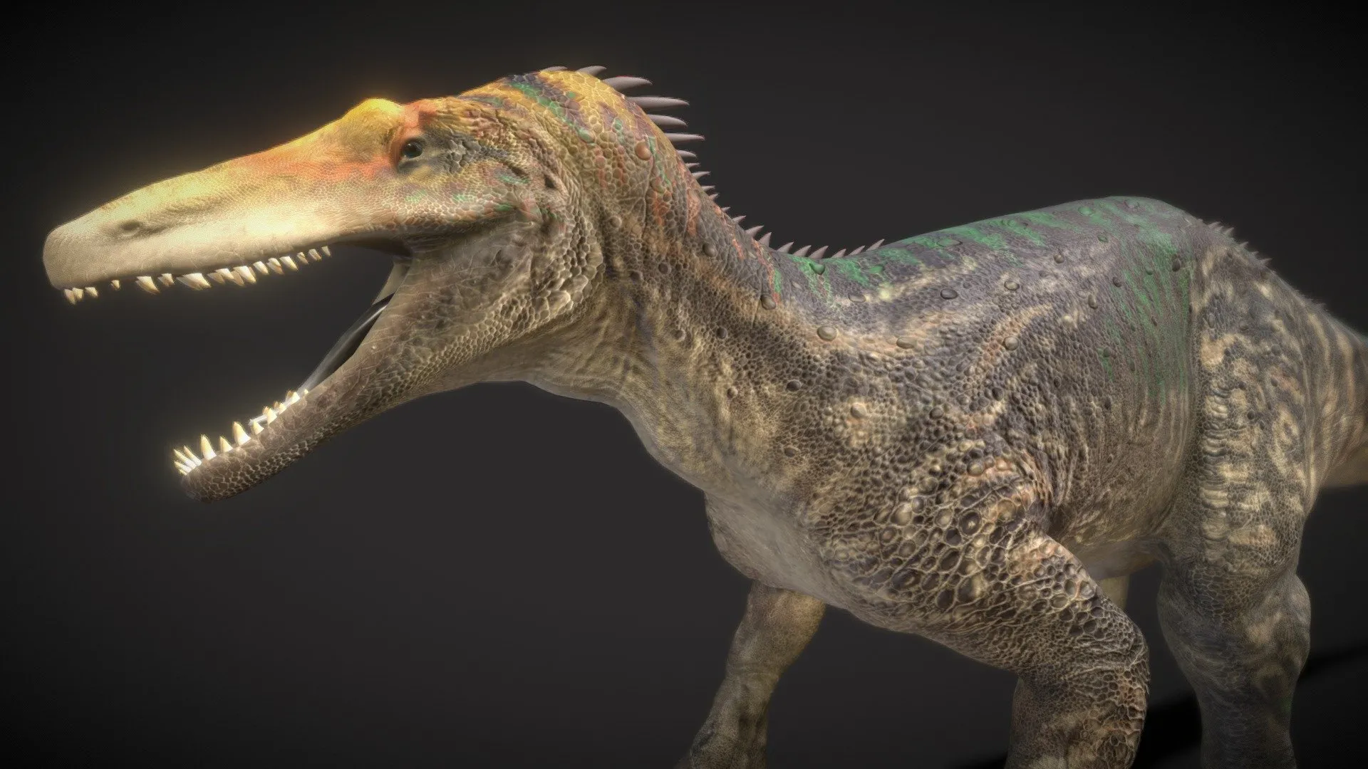 PBR Game 3D Models - Maip Macrothorax