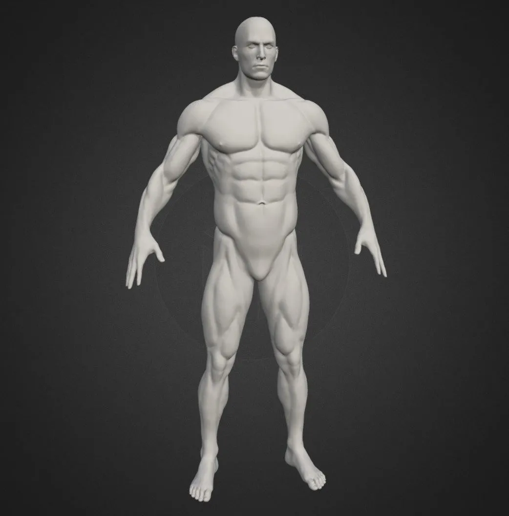 PBR Game 3D Models - Male Body 2