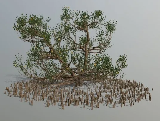 PBR Game 3D Models - Mangrove