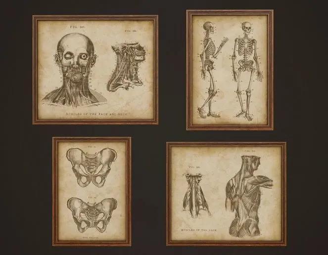 PBR Game 3D Models - Medical Pictures