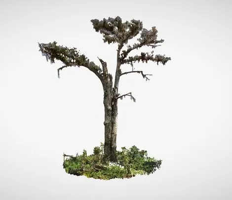 PBR Game 3D Models - Monarch Of The Swamp