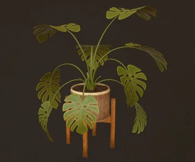 PBR Game 3D Models - Monstera Plant