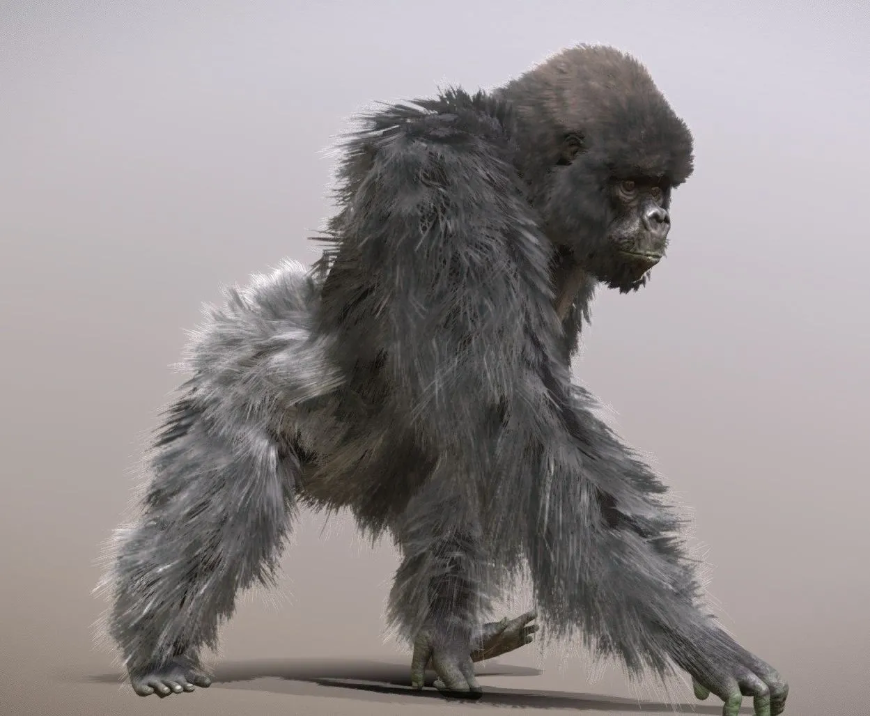 PBR Game 3D Models - Mountain Gorilla