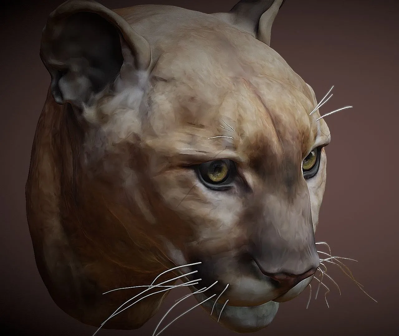 PBR Game 3D Models - Mountain Lion