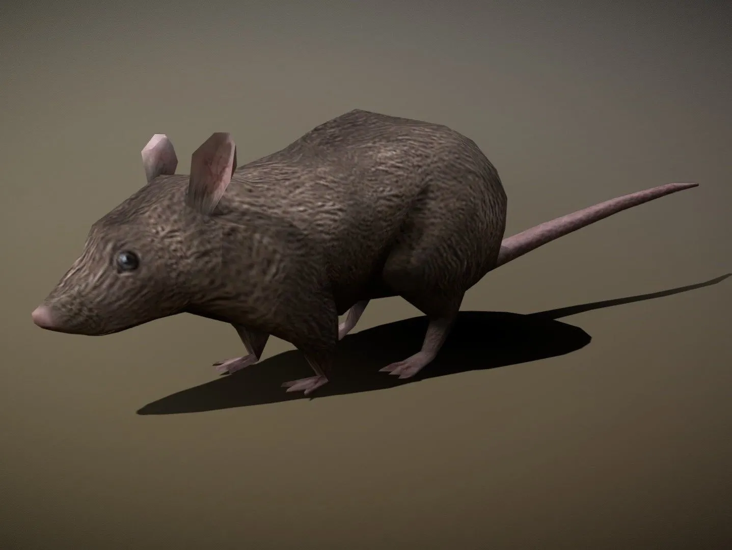 PBR Game 3D Models - Mouse Gray Rat Animated