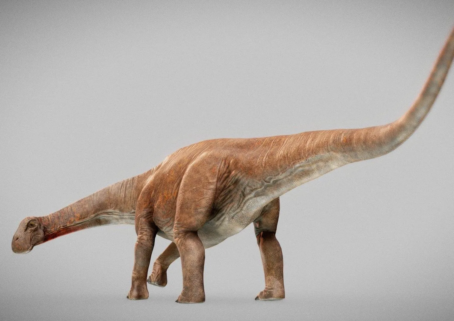 PBR Game 3D Models - Nigersaurus