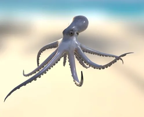 PBR Game 3D Models - Octopus