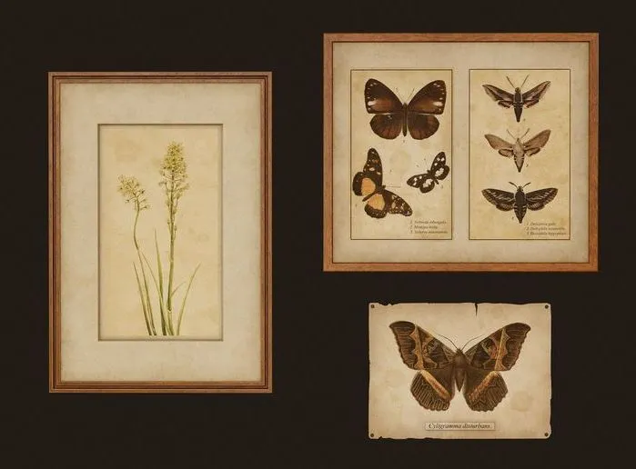 PBR Game 3D Models - Old Picture Frames