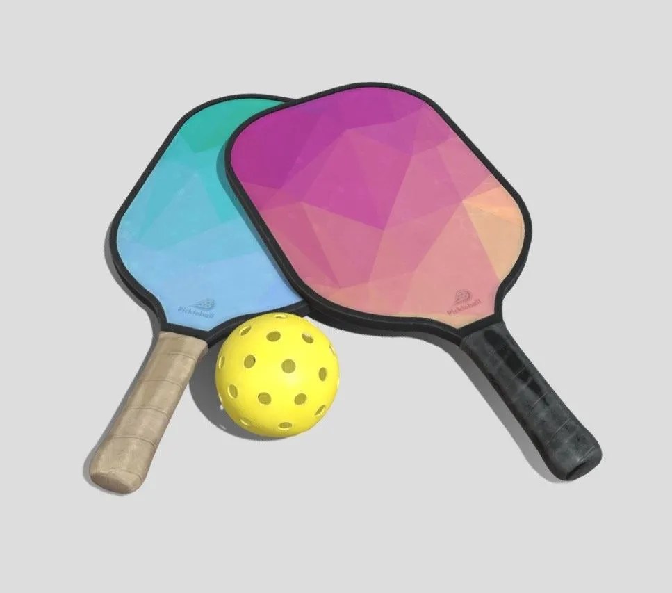 PBR Game 3D Models - Pickle Ball Set 4K And 2K Textures