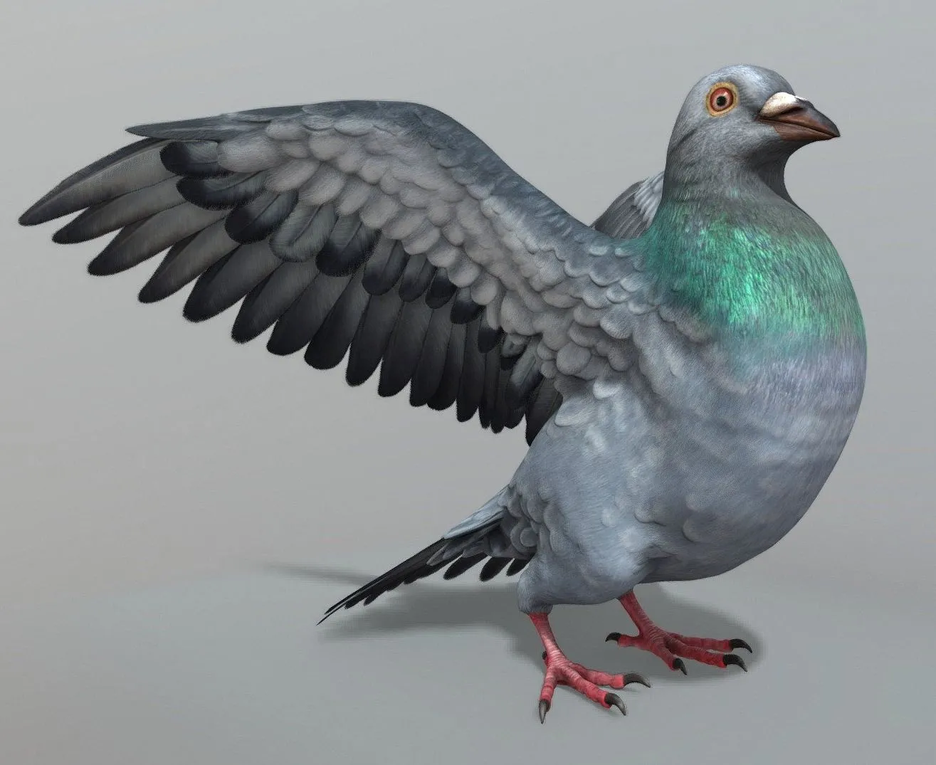 PBR Game 3D Models - Pigeon 1