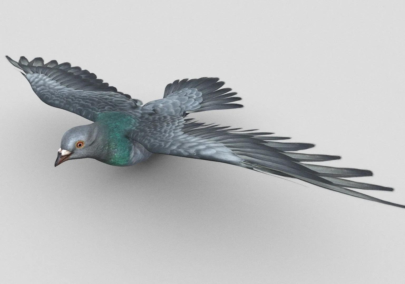 PBR Game 3D Models - Pigeon Flying