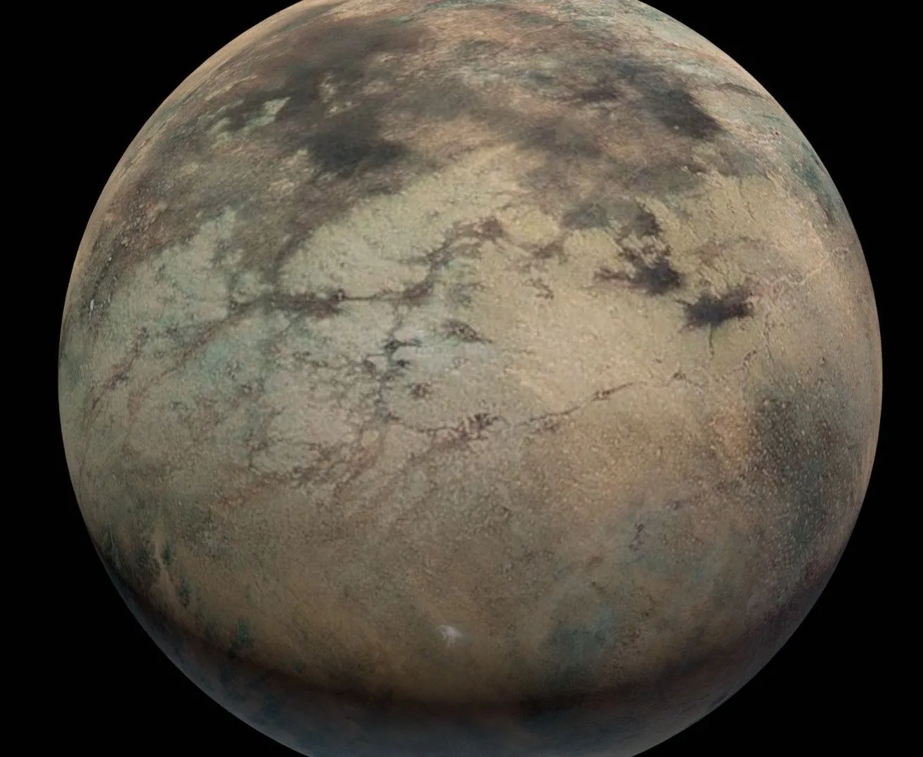 PBR Game 3D Models - Planet Dagobah