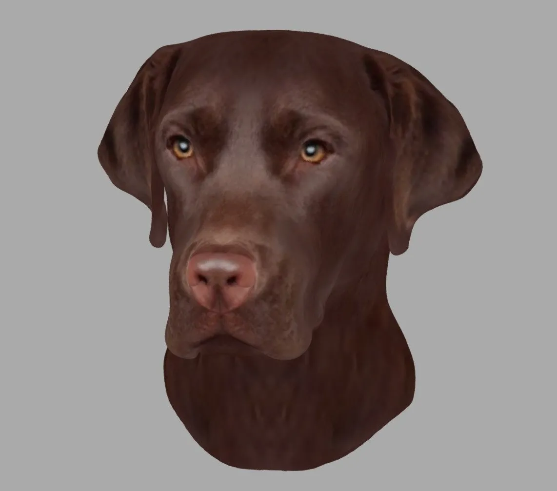 PBR Game 3D Models - Printable Brown Labrador Head Wall Mount 15 Cm