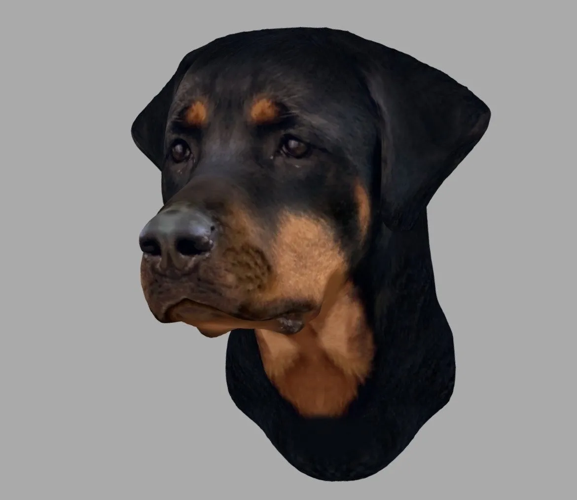 PBR Game 3D Models - Printable Doberman Wall Mount Head 15 Cm