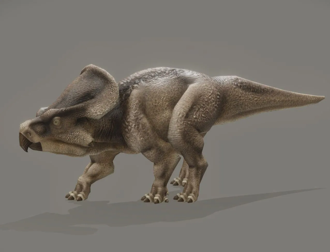 PBR Game 3D Models - Protoceratops Andrewsi
