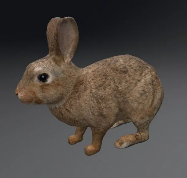 PBR Game 3D Models - Rabbit 2