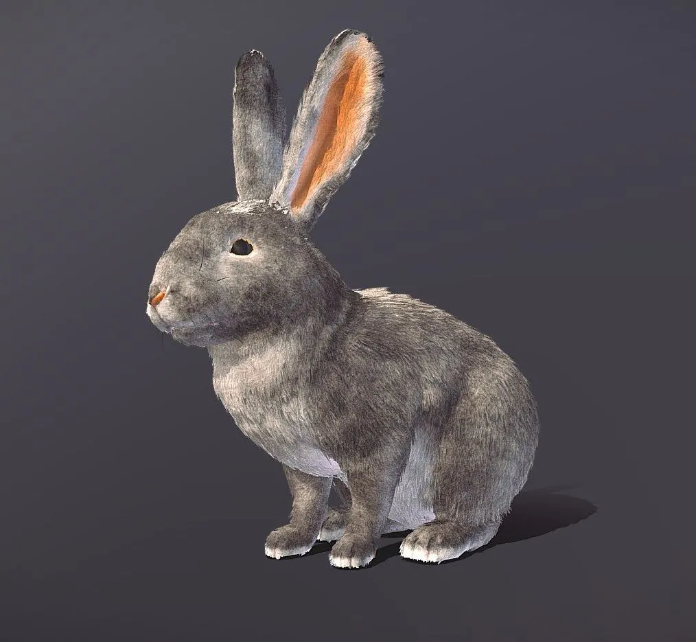 PBR Game 3D Models - Realistic Rabbit