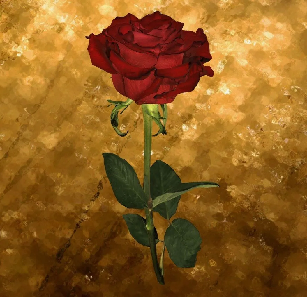 PBR Game 3D Models - Rose