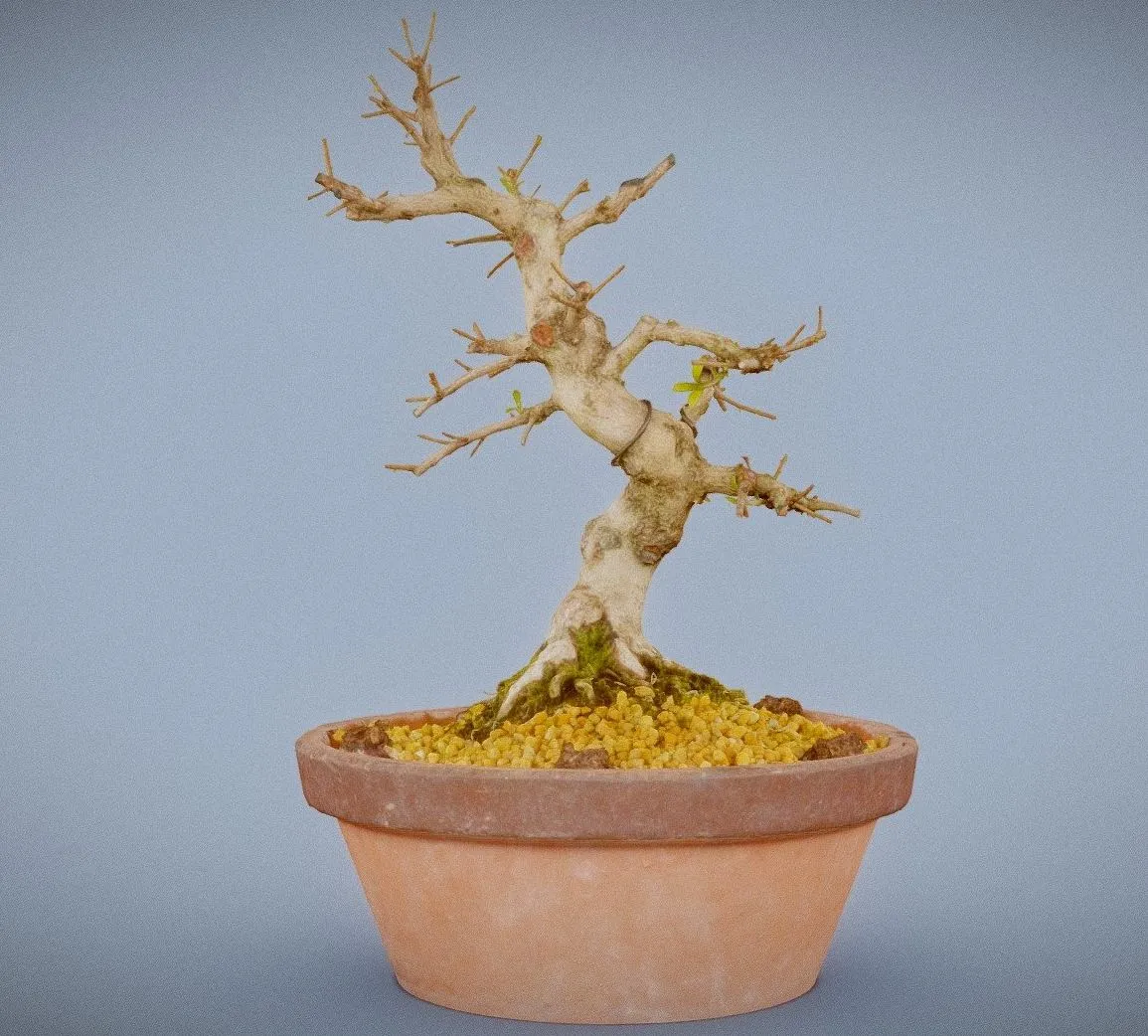 PBR Game 3D Models - Satsuki Hi No Maru