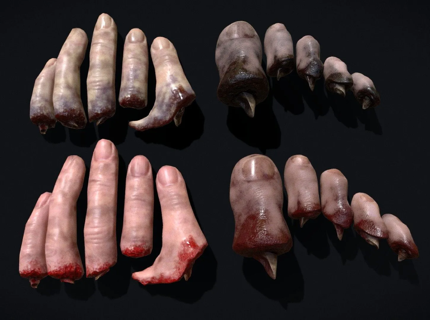PBR Game 3D Models - Severed Fingers And Toes Horror Prop