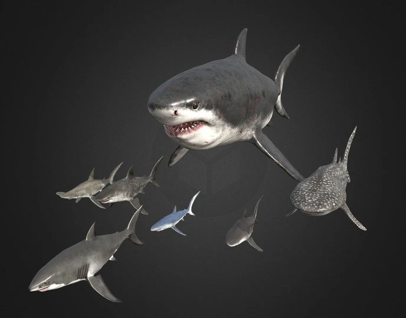 PBR Game 3D Models - Shark Pack
