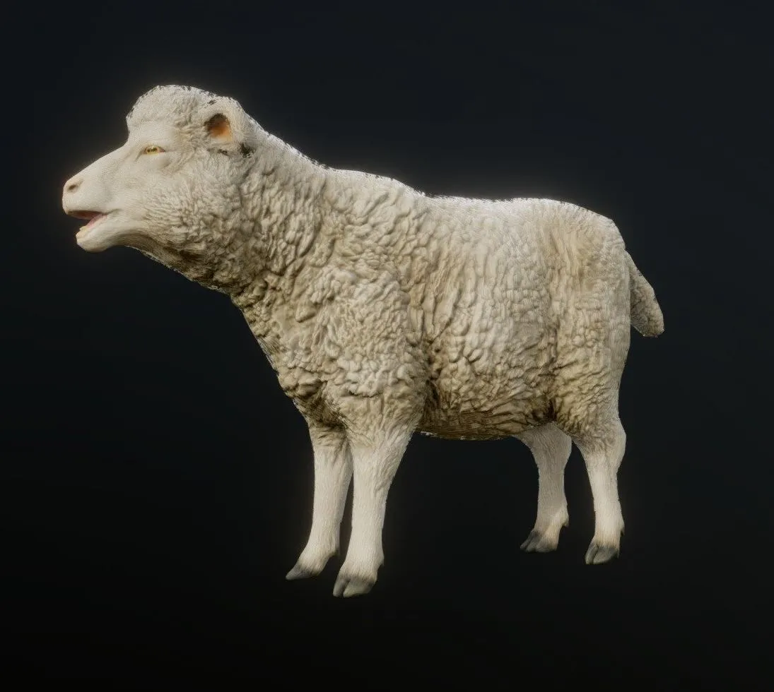 PBR Game 3D Models - Sheep Animations