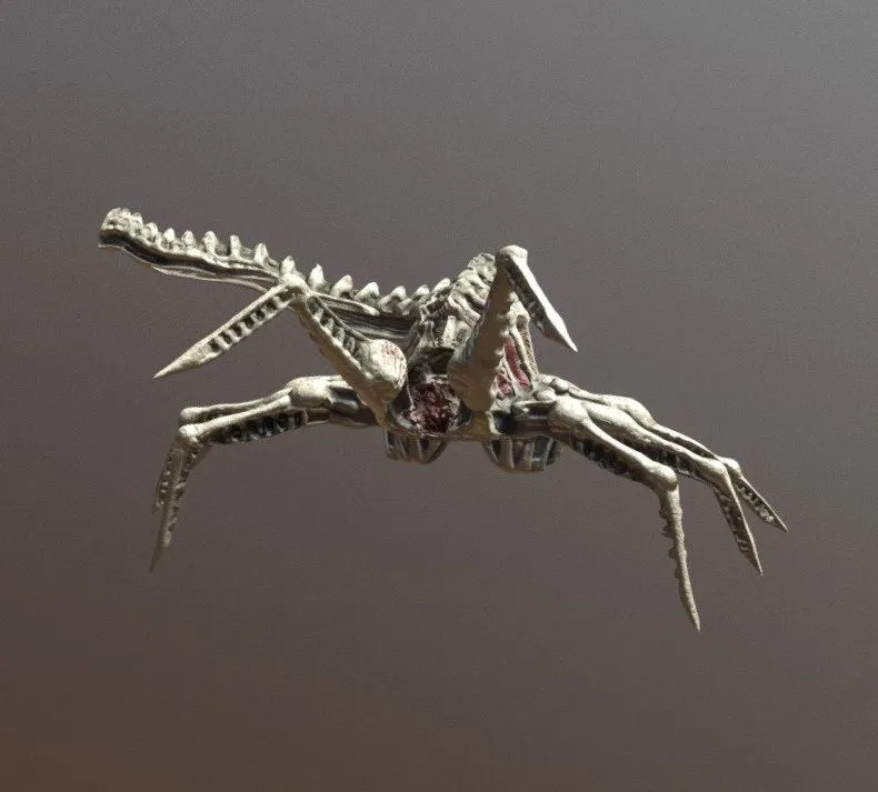 PBR Game 3D Models - Skeleton Facehugger