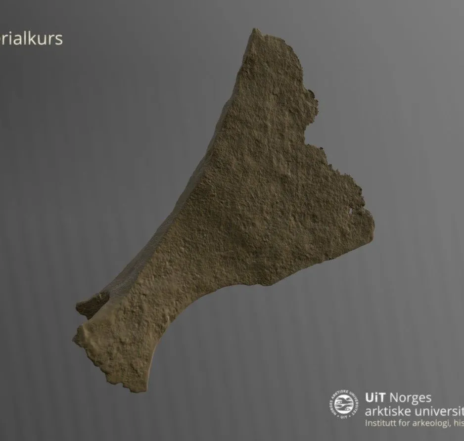 PBR Game 3D Models - Skjeggks Ts102