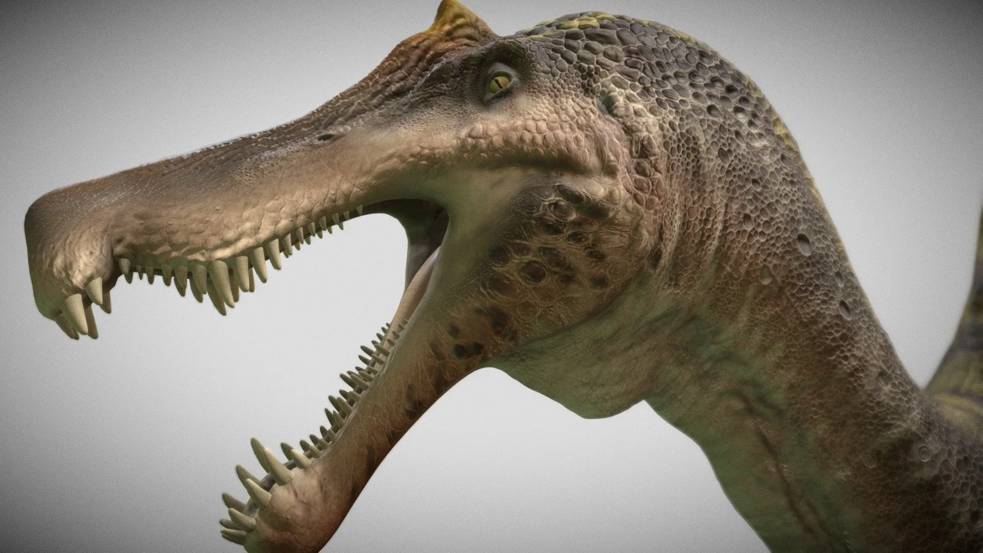 PBR Game 3D Models - Spino2023