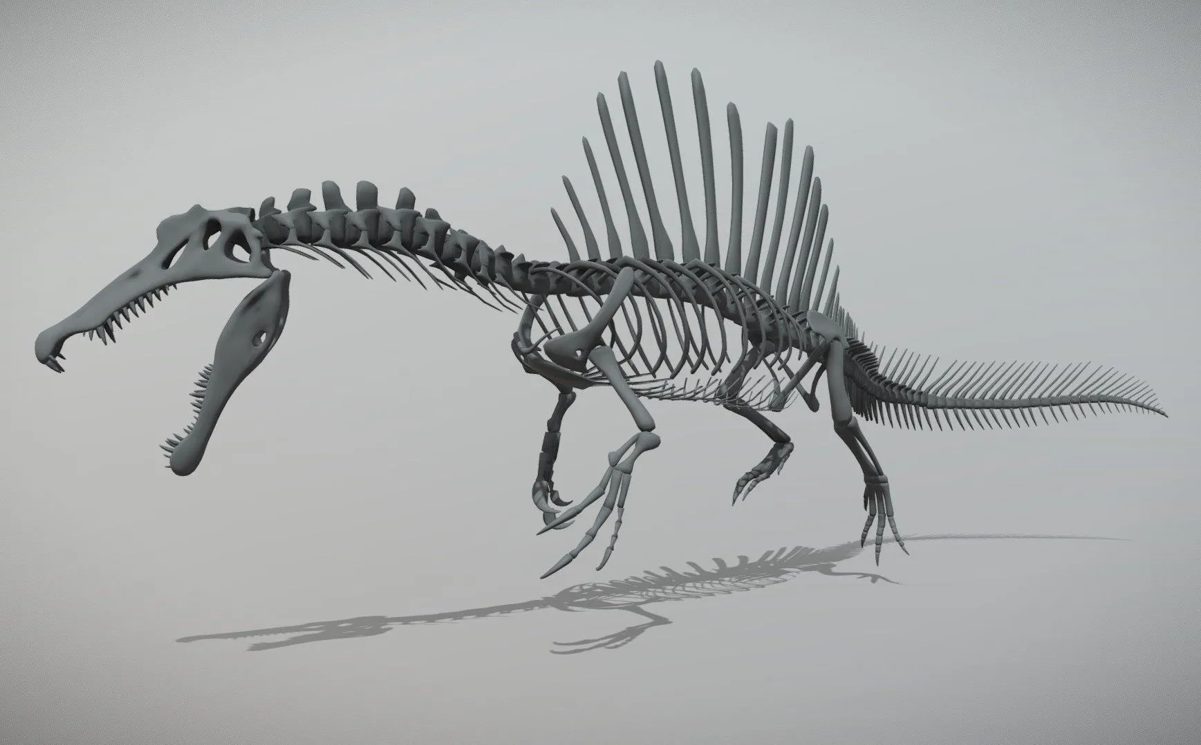 PBR Game 3D Models - Spinosaurus Skeleton