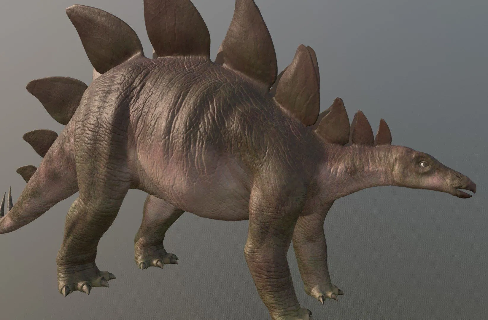 PBR Game 3D Models - Stegosaurus